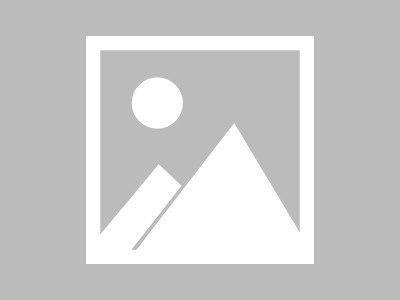 金嗓子经济的新增长点 金嗓子肠宝