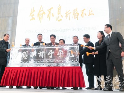 口腔保健消费需求与日俱增 高端齿科开进光谷